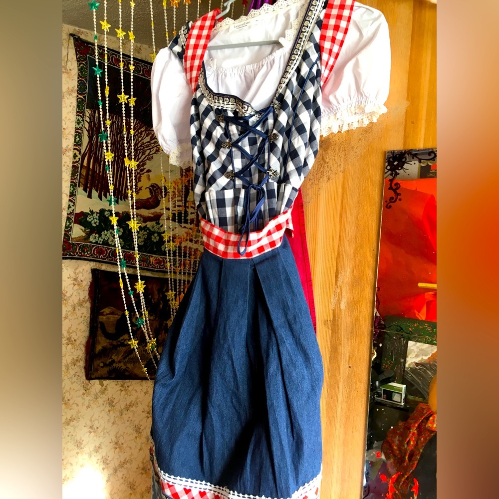 Dirndl/october fest outfit size M-L